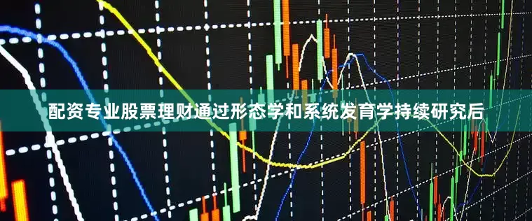 配资专业股票理财通过形态学和系统发育学持续研究后