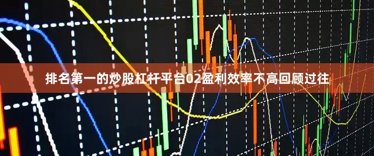 排名第一的炒股杠杆平台02盈利效率不高回顾过往