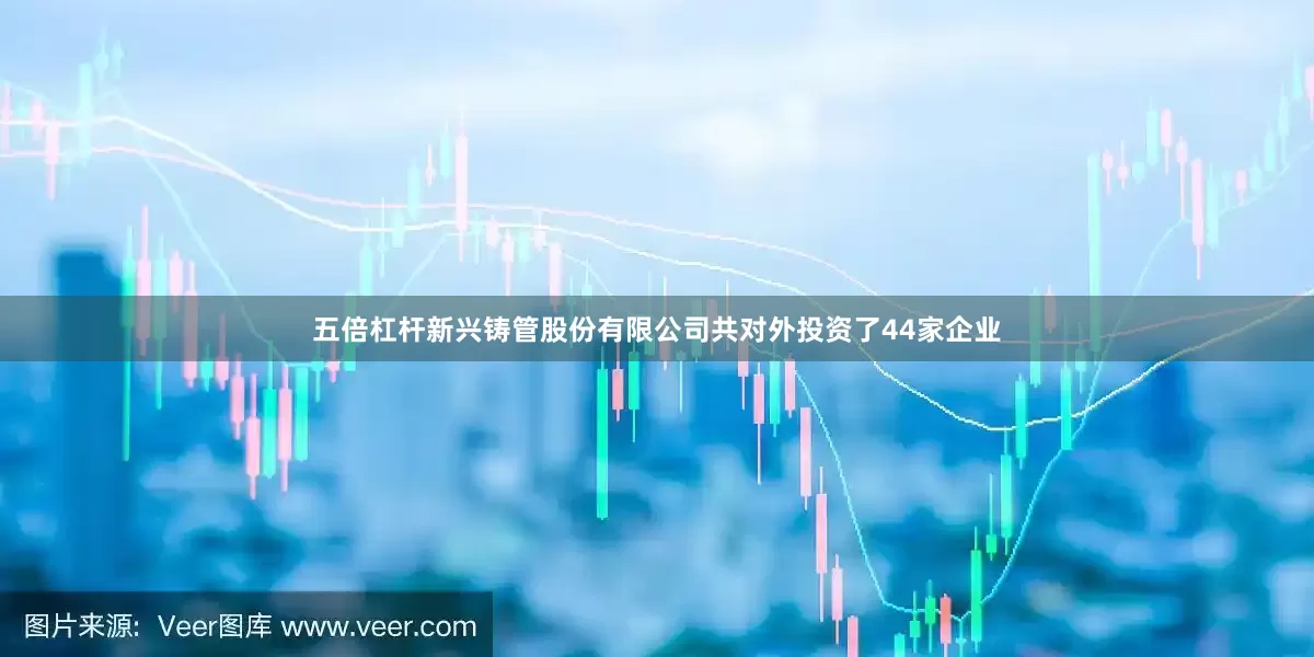 五倍杠杆新兴铸管股份有限公司共对外投资了44家企业