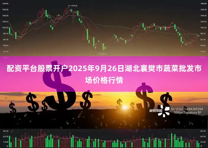 配资平台股票开户2025年9月26日湖北襄樊市蔬菜批发市场价格行情